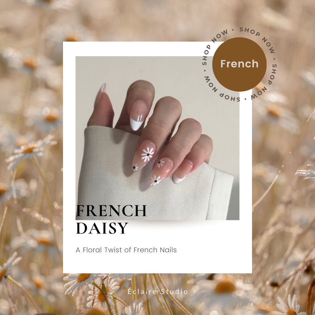 French Daisy - Eclaire Studio